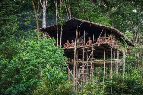 Korowai Tribe Tree Houses