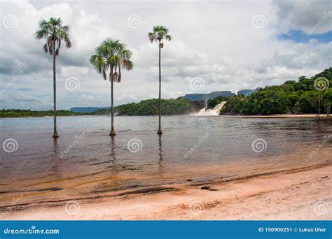 Laguna De Canaima - Canaima National Park, Venezuela Stock Image ...