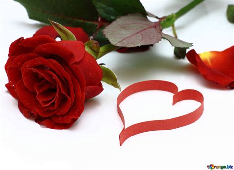 Heart with rose free image - № 16849