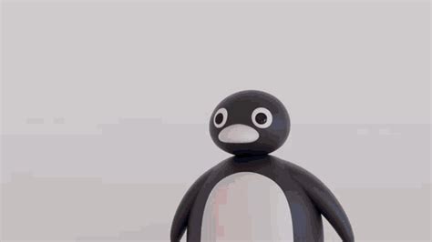 Pingu Noot Gif Pingu Noot Triggered Descubre Y Comparte Gif | My XXX ...