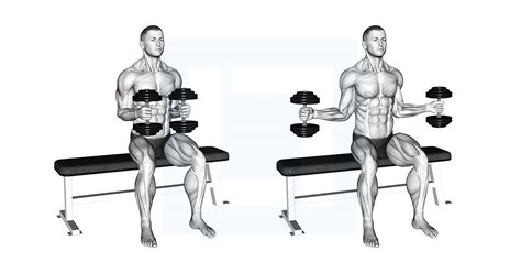 Cable Shoulder Internal Rotation - Guide, Benefits, and Form