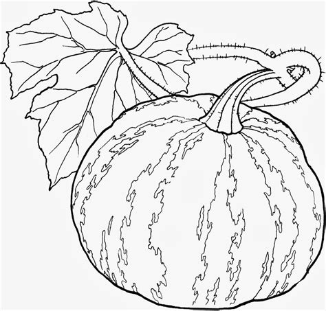 Vegetables Coloring Pages - Kidsuki