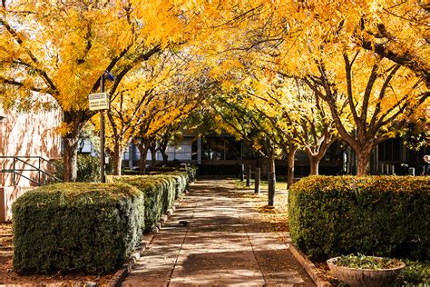 Tempe campus | ASU News