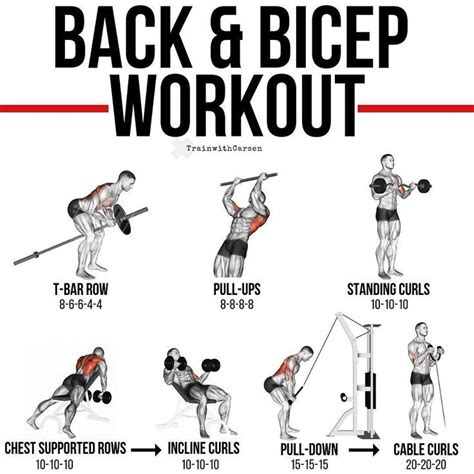 Back And Biceps: The Best Workout Combination - GymGuider.com | Biceps ...