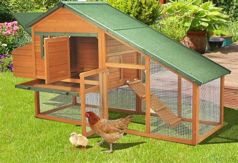 Top 10 Best Chicken Coops in 2024 Reviews | Buyer's Guide