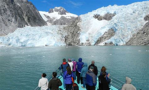 Kenai Fjords National Park Tour Cruise | Kenai Fjords Tours