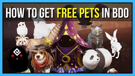 How To Get FREE Pets in Black Desert Online - The Ultimate Guide - YouTube