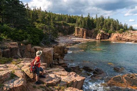 Seawall Campground Acadia National Park Sites