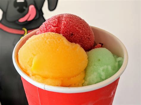 Sonny’s Amazing Italian Ices & Cremes Refreshes The Classics • Foodzooka