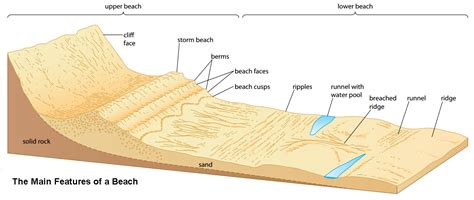 Beach Landforms Diagram