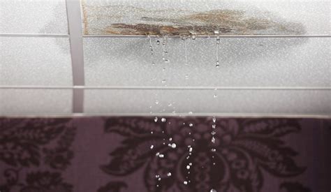 Water Damage: Causes and Prevention — RISMedia