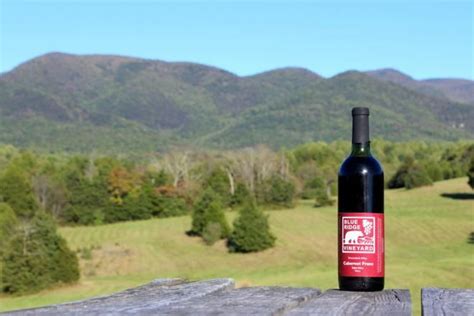 Hiking Trails near Wineries in Virginia's Blue Ridge Mountains ...