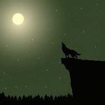 Howling Wolf Stock Vector Image by ©desanns #10194680