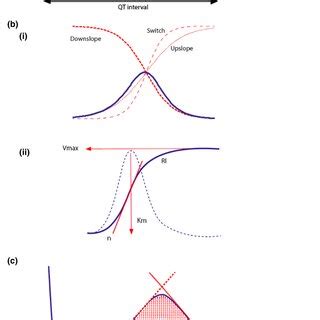 Selected T wave morphology analysis techniques. (a) ECG time intervals ...