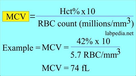 Red Blood Cell (RBC):- Part 4 - Red Blood cell Indices - Labpedia.net