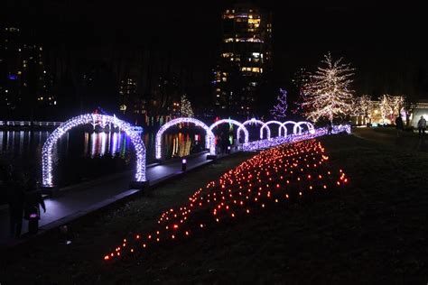 Photos: Breathtaking Winter Lights Display At Lafarge Lake - 604 Now