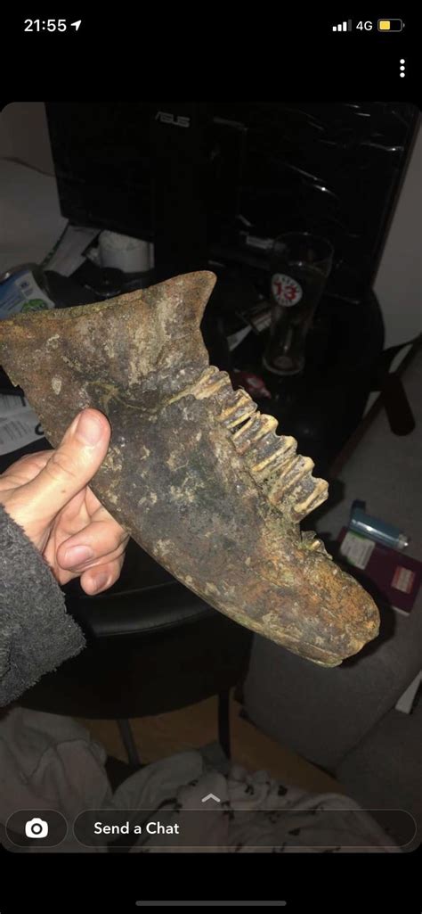 Help with huge jaw fossil ID : r/fossilid