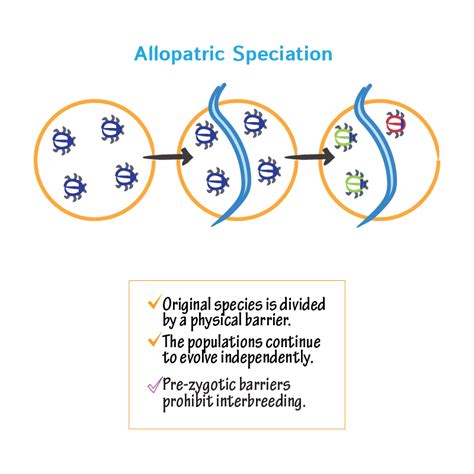 General Biology Glossary: Speciation | Draw It to Know It