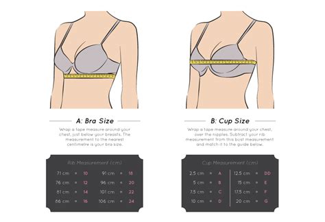 Bra Size | Bra fitting guide, Bra size guide, Measure bra size