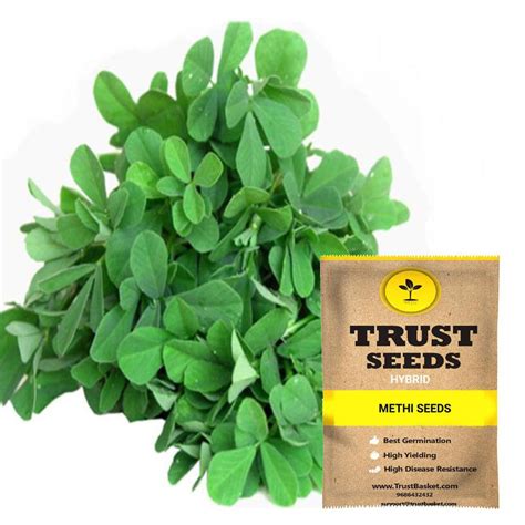 home & garden > plants > seeds – TrustBasket