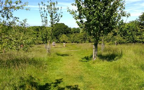 Walking in Torquay, Paignton & Brixham – Torbay Coast & Countryside Trust