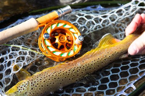 The All-Around 5-Weight Fly Rod Buyer's Guide - Trident Fly Fishing