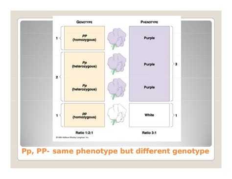 Plant genetics