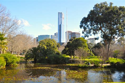 Melbourne City From Botanic Gardens Free Stock Photo - Public Domain ...