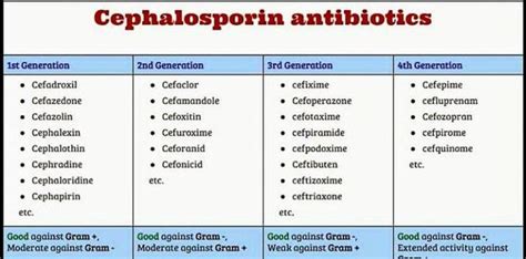 Cephalosporin antibiotics - MEDizzy