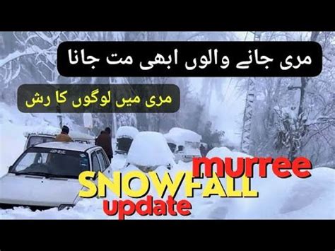 Murree Snowfall Update 2023 | Mall Road Murree | Weather of Murree ...