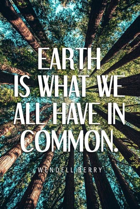 40 Best Environmental Quotes To Inspire You To Do Your Part To Save The Earth in 2020 | Earth ...