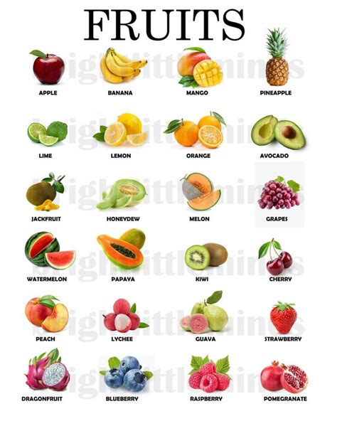 Instant Download Printable Fruits Educational Poster Montessori Waldorf ...