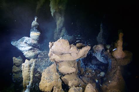 Life at the Extremes – Microbiology of deep-sea volcanoes – Rutgers ...