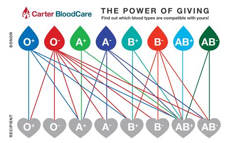 Let’s Make a Positive Difference with O Negative Blood! - Carter BloodCare