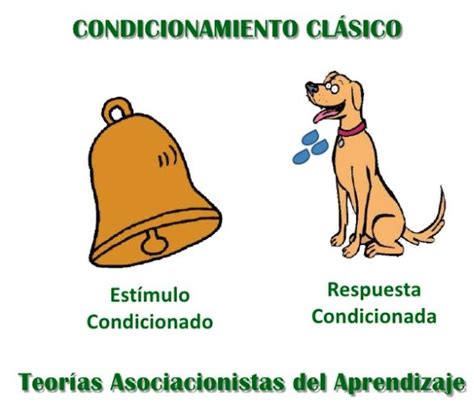 Variables del condicionamiento clásico en el condicionamiento clásico