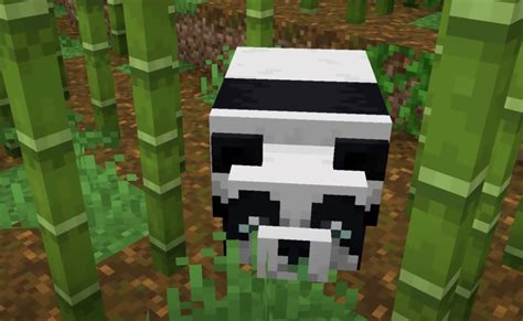 How to Tame a Panda in Minecraft: A Comprehensive Guide