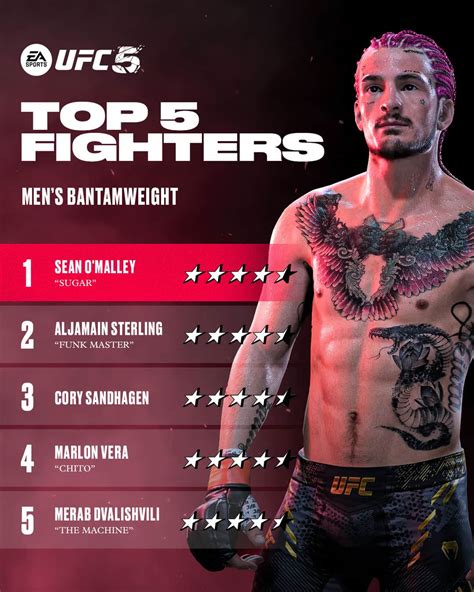 UFC 5 Top 5 Fighters in Every Weight Class Listed