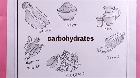 Drawing Of Carbohydrates