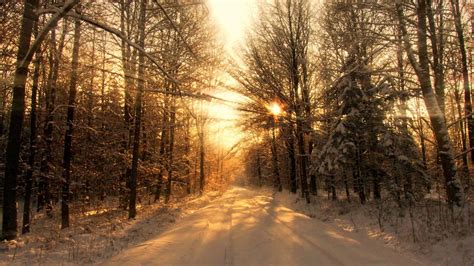 Winter Sunshine Wallpapers - Top Free Winter Sunshine Backgrounds ...