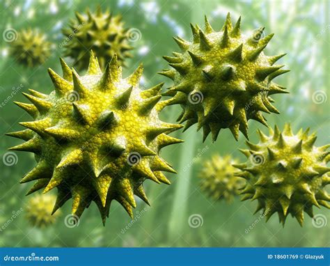 Pollen stock illustration. Image of pollen, round, live - 18601769