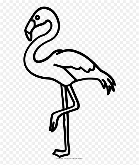 Download Flamingo Drawing Outline - Outline Flamingo Clipart - Png Download (#5439584) - PinClipart