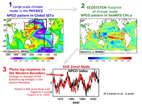 Emanuele Di Lorenzo - North Pacific Gyre Oscillation - NPGO Index