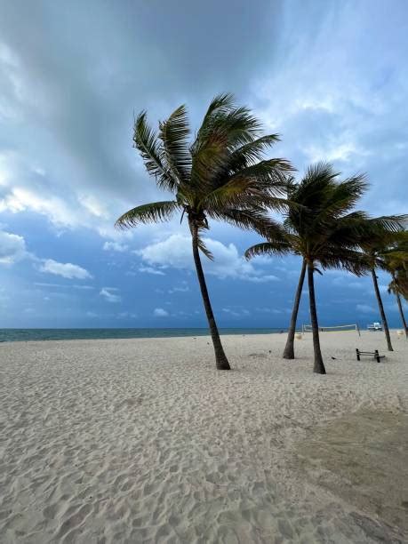 60+ Hollywood Beach Weather Stock Photos, Pictures & Royalty-Free ...