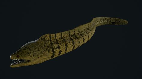 Moray Eel - 3D Model by MadeCG