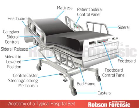 Hospital Bed Positions Names