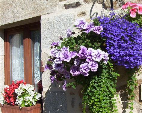 Barbara - Lilian - in - France.: My garden in France.