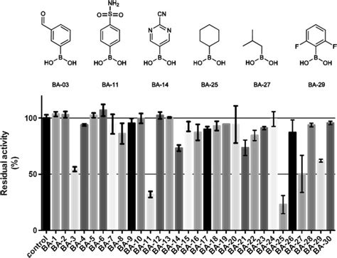 Arginase Structure and Inhibition: Catalytic Site Plasticity Reveals ...