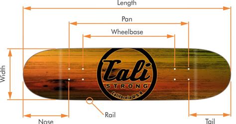 Skateboard Parts Diagram - CALI Strong Skateboarding