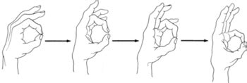 Range-of-Motion and Strengthening Exercises for the Hand and Wrist - Hesperian Health Guides