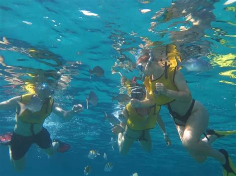 Varadero Snorkeling Tours: Ultimate Guide with Scubalibre Varadero